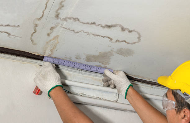 Reliable Structural Drying contractor in Roosevelt, WA by Water Damage Irwin